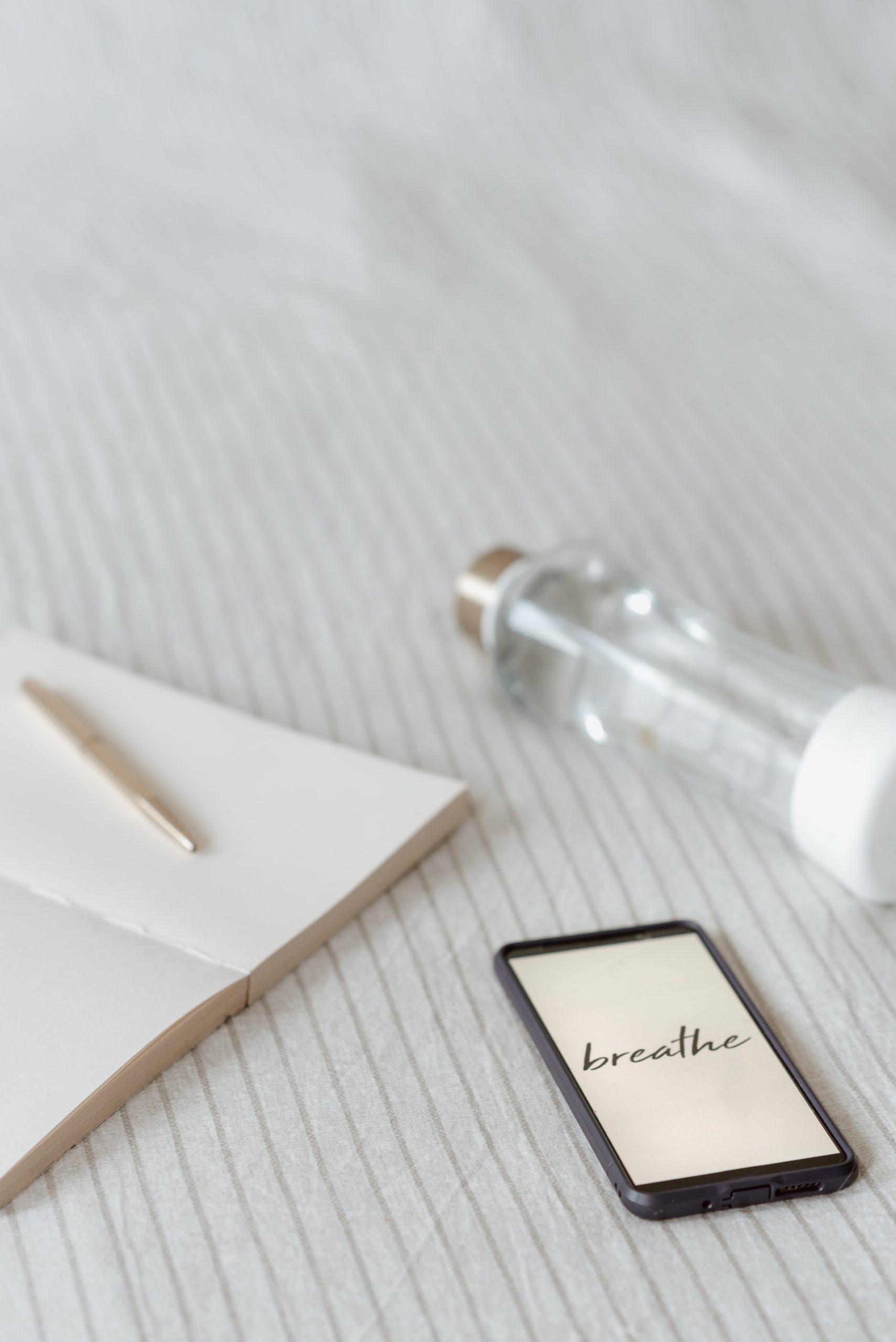 pexels anete lusina 4792358 scaled - Sekcje Polskiego Towarzystwa Fitoterapii