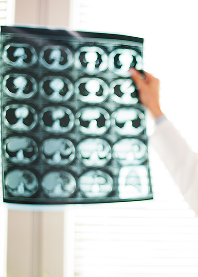 widok z gory na uklad naturalnych skladnikow - Sekcje Polskiego Towarzystwa Fitoterapii